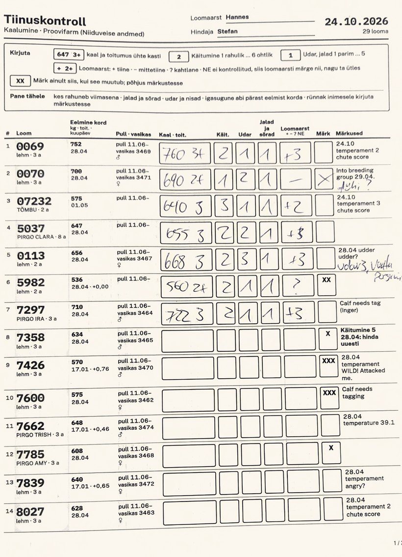 The printed pregnancy-check sheet, filled in by hand for seven cows